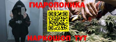 амф Гусев