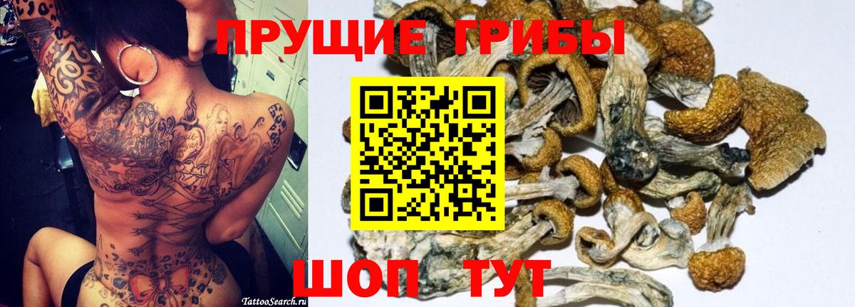 Галлюциногенные грибы MAGIC MUSHROOMS Муравленко