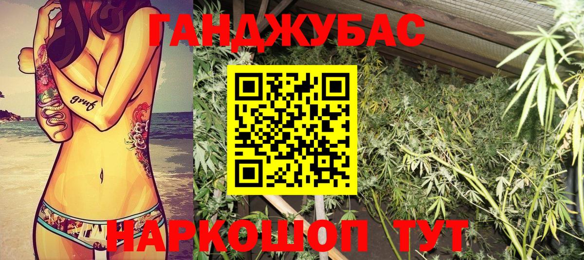 Шишки марихуана семена Муравленко